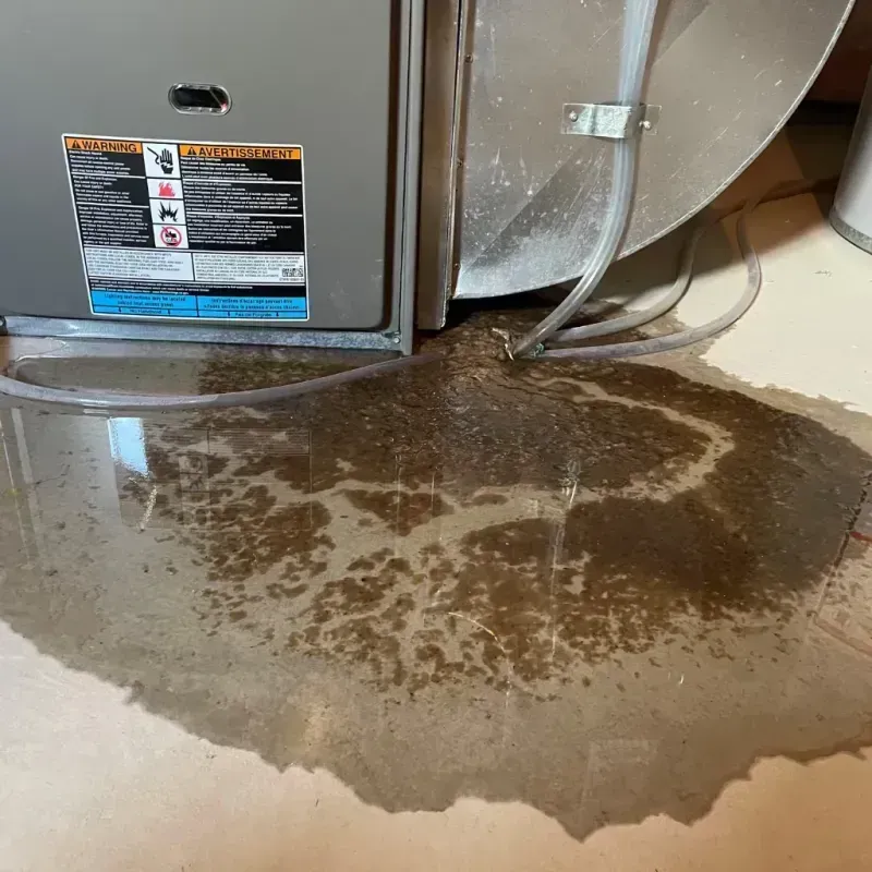 Appliance Leak Cleanup in Coshocton County, OH